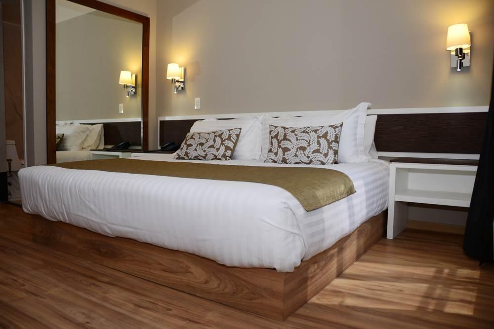 Hotel Plaza Revolucion Mexico City Bilik gambar